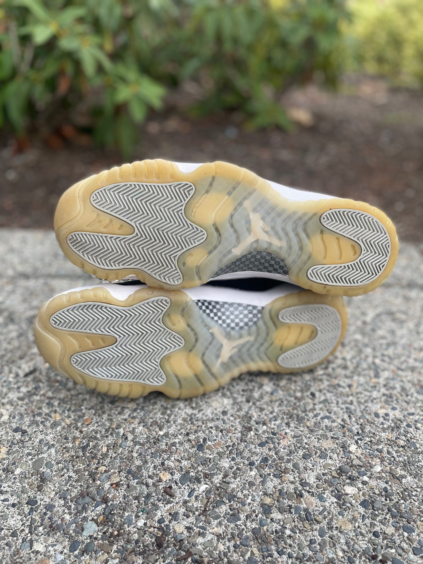2020 Jordan retro 11 jubilee Size 14