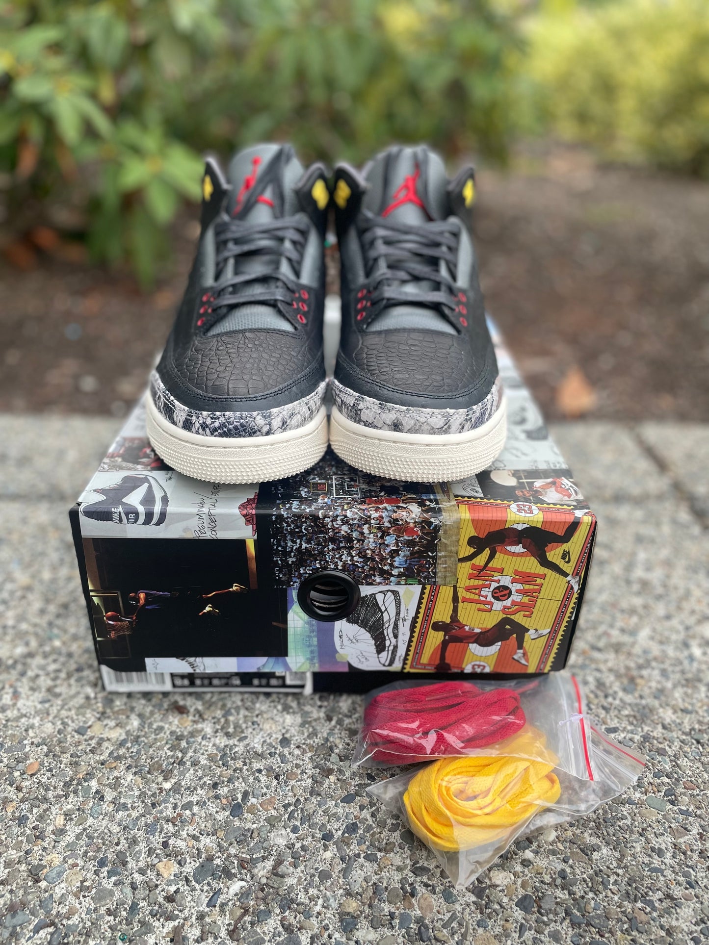Brand new 2020 Jordan 3 animal instinct 2.0 with box Size 12.5