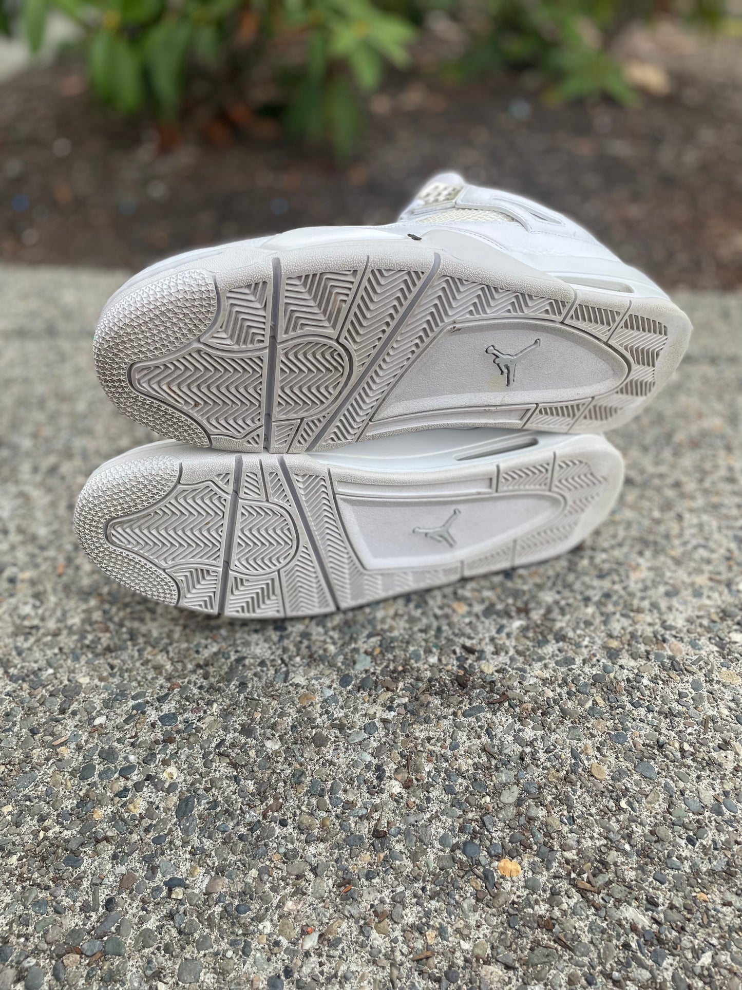 2016 Jordan 4 white metallic pure money with box Size 13