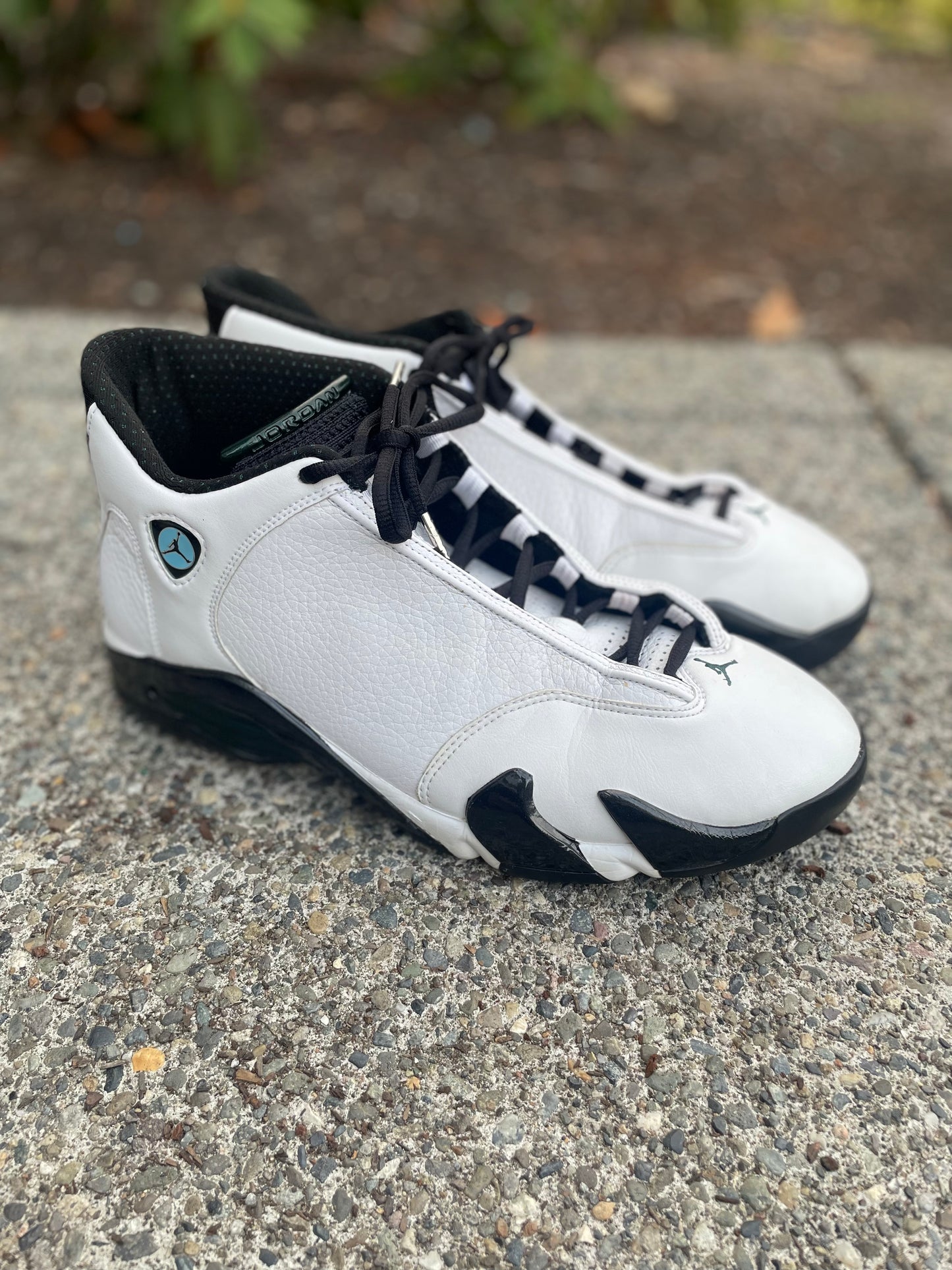 1999 OG Jordan 14 XIV oxidized green with box Size 13