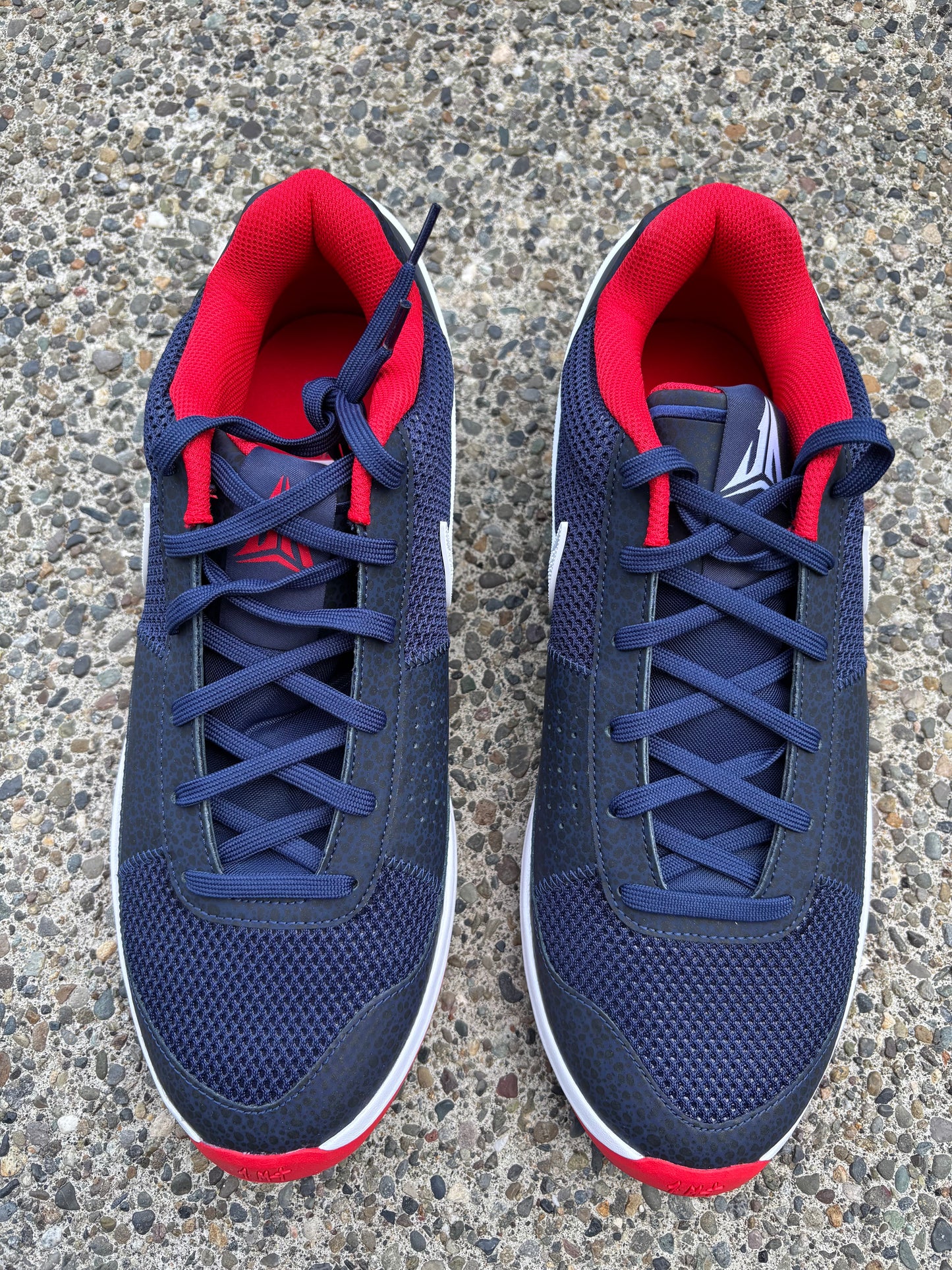 Brand new 2024 Nike Ja 1 USA Sz 13