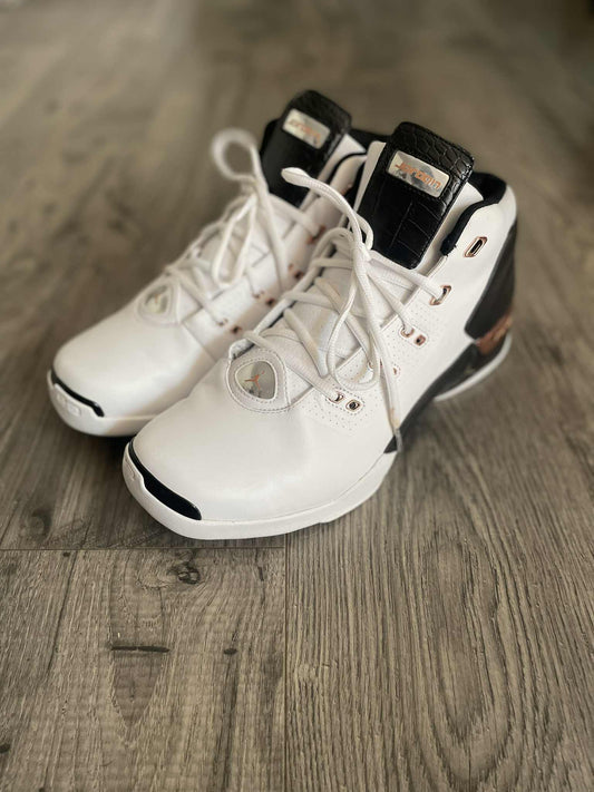 2016 Jordan 17 Retro Copper size 13 No box